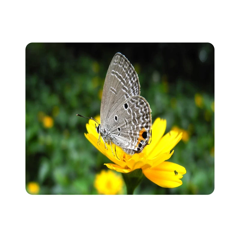 ماوس پد اطلس آبی طرح پروانه و گل  مدل T7951
