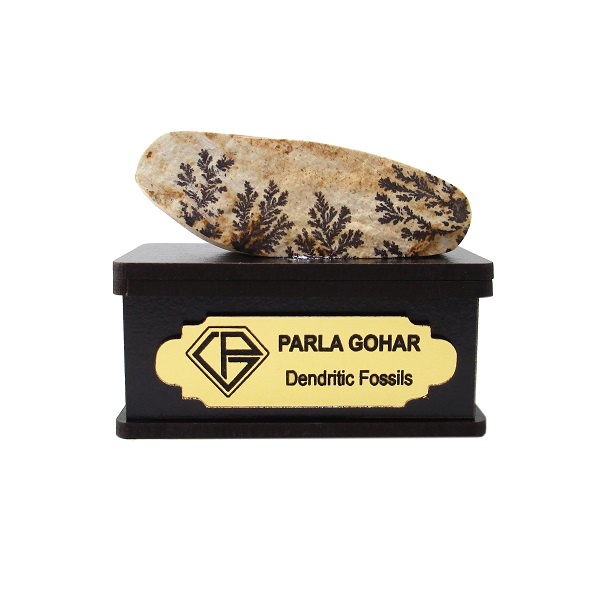 سنگ راف شجر فسیلی پارلا گوهر کد 2195