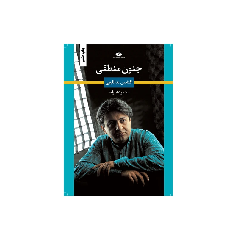 کتاب جنون منطقی اثر افشین یداللهی نشر نگاه