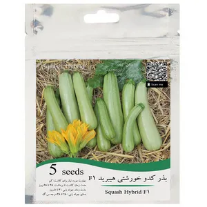 بذر کدو خورشتی سبز هیبرید مدل GL05