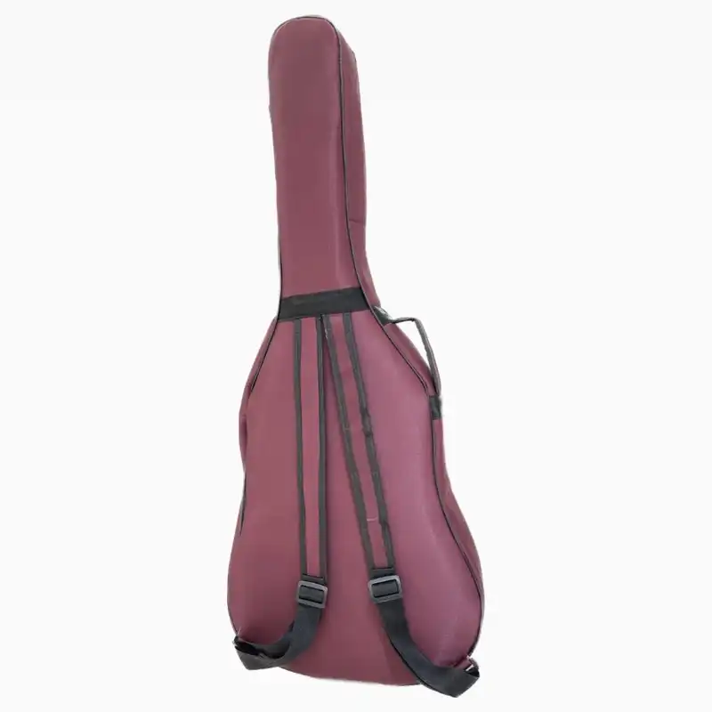 سافت کیس گیتار مدل هارمونی