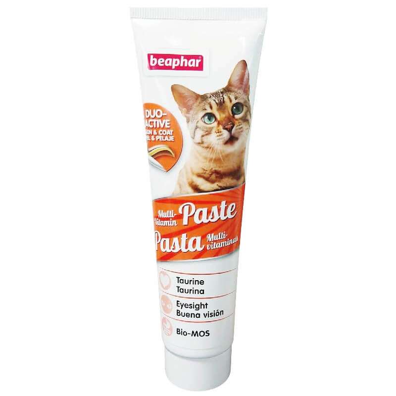 اسنک گربه بیفار مدل مولتی ویتامین خمیری وزن 100 گرم