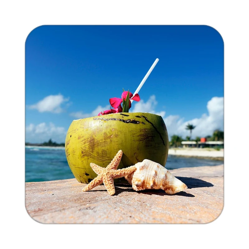 زیر لیوانی کاکتی طرح میوه مدل mp20289