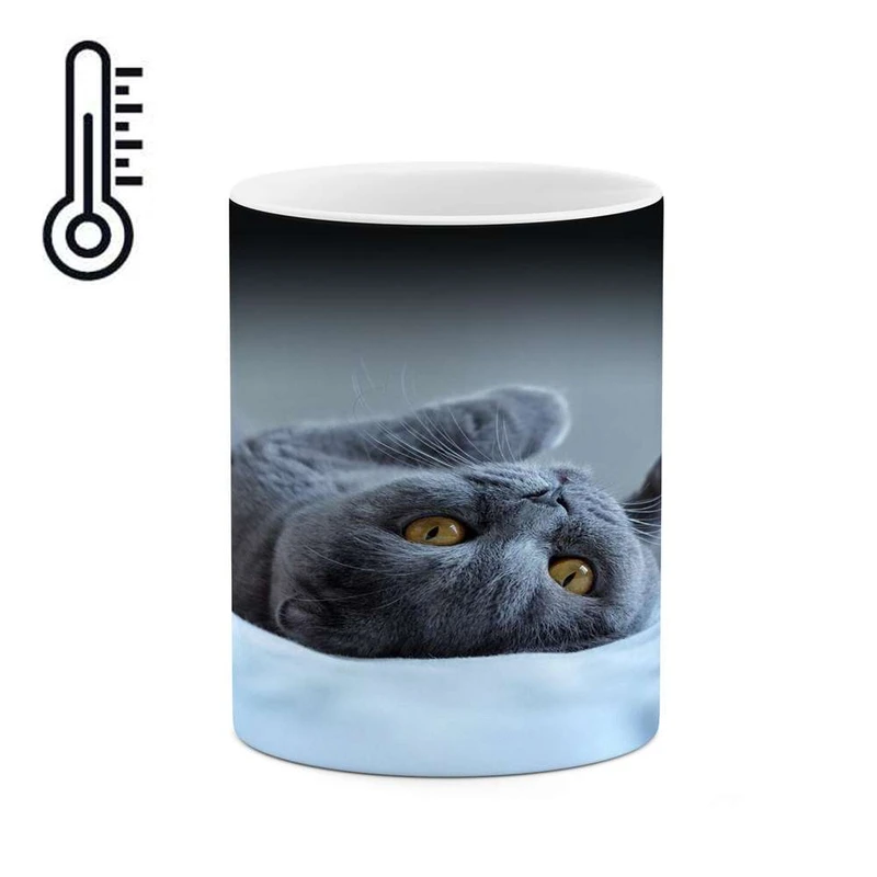 ماگ حرارتی کاکتی مدل گربه کد mgh16202