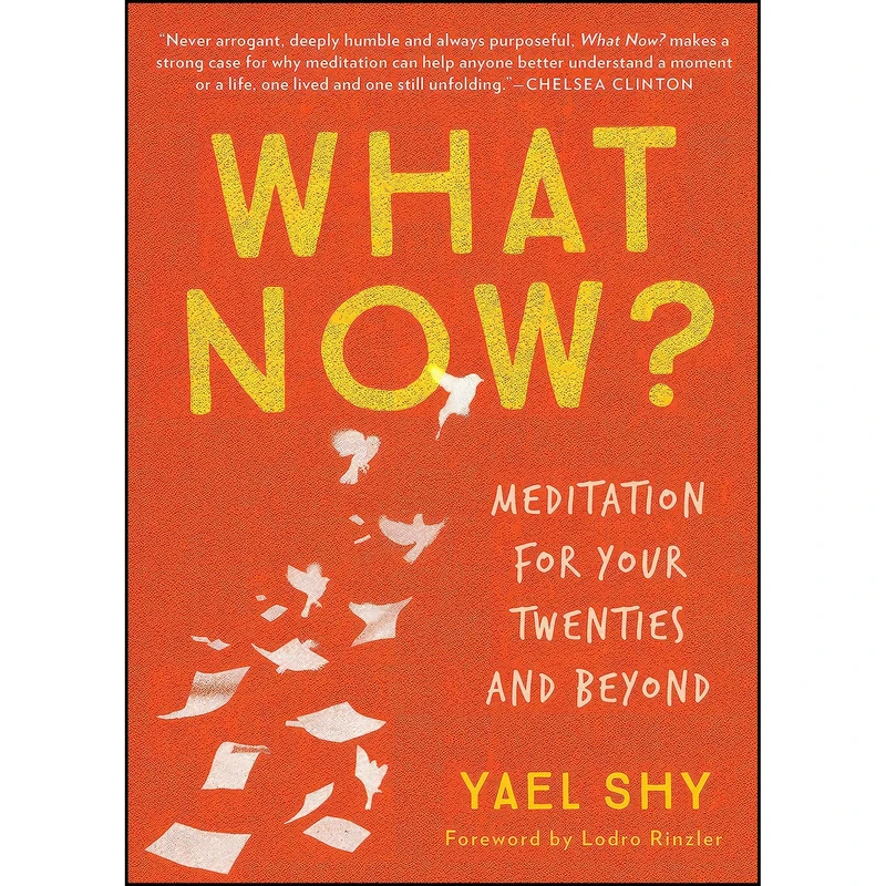 کتاب What Now? اثر Yael Shy انتشارات Parallax Press
