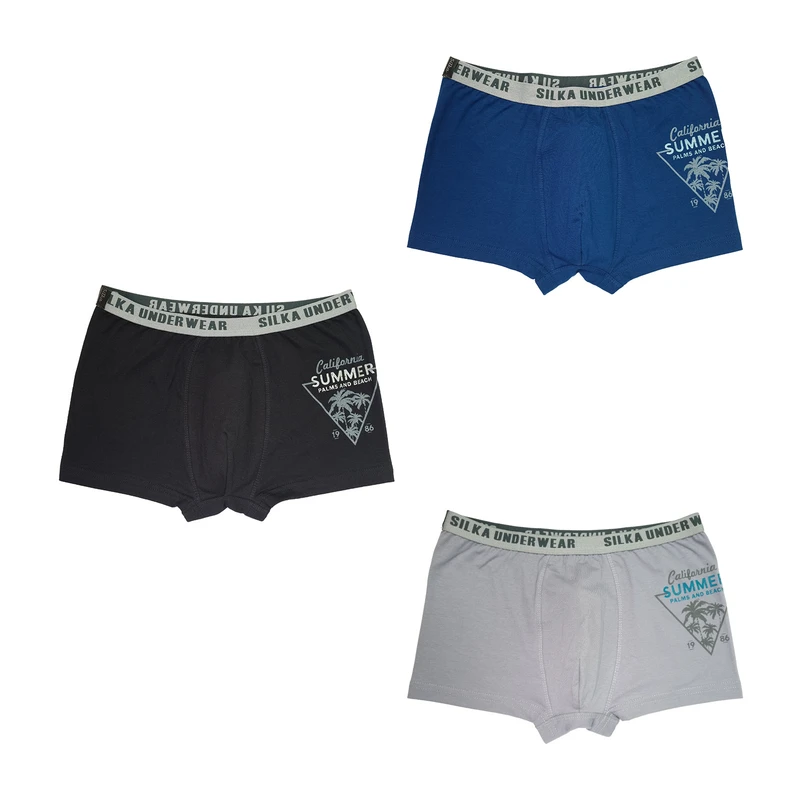 شورت نیم‌پا مردانه سیلکا مدل ساحل مجموعه سه عددی