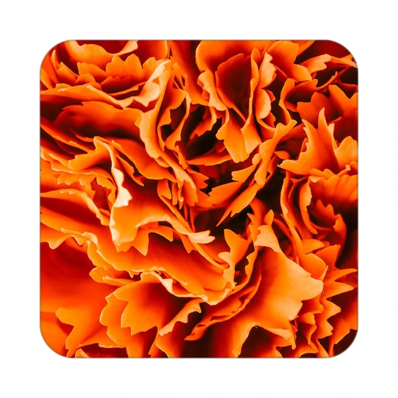 زیر لیوانی کاکتی طرح گل مدل mp18574