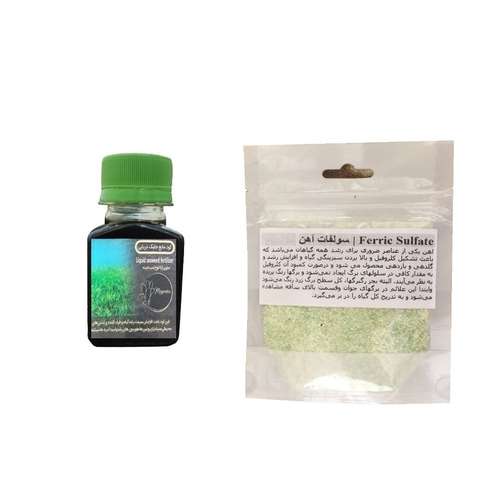 کود مایع جلبک دریایی و سولفات آهن مدل 01 وزن 160 گرم مجموعه دو عددی