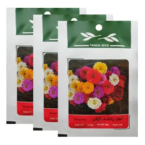 بذر گل آهار پابلند الوان وانیا سید کد O11 مجموعه 3 عددی