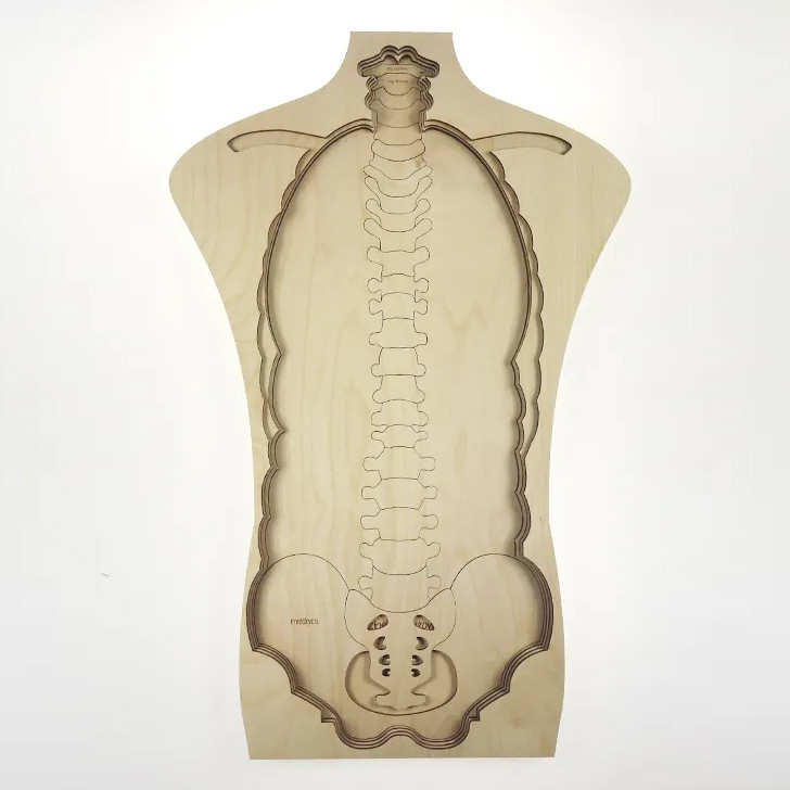 بازی آموزشی مدل مولاژ آناتومی بدن انسان کد M117-2