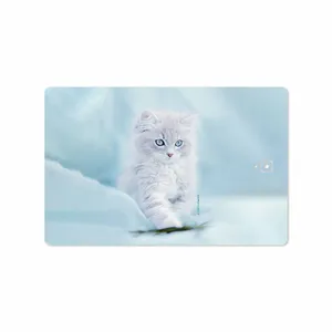 MAHOOT Cat-1 Cover Sticker for Samsung Galaxy Tab S3 9.7 2017 T825