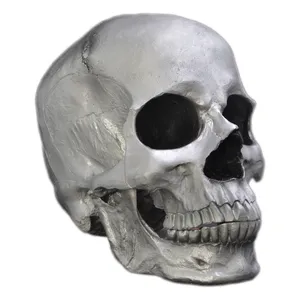 مجسمه مدل جمجمه طرح Skull-big کد 12