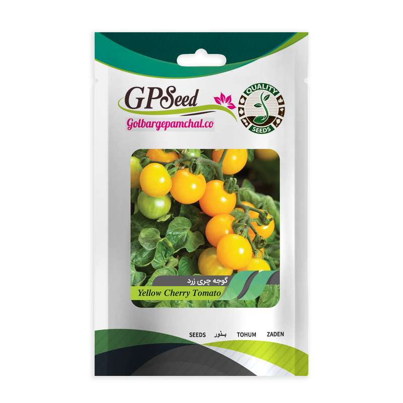 بذر گوجه چری زرد جی پی سید مدل GP7626 بذر گوجه چری زرد جی پی سید مدل GP7626