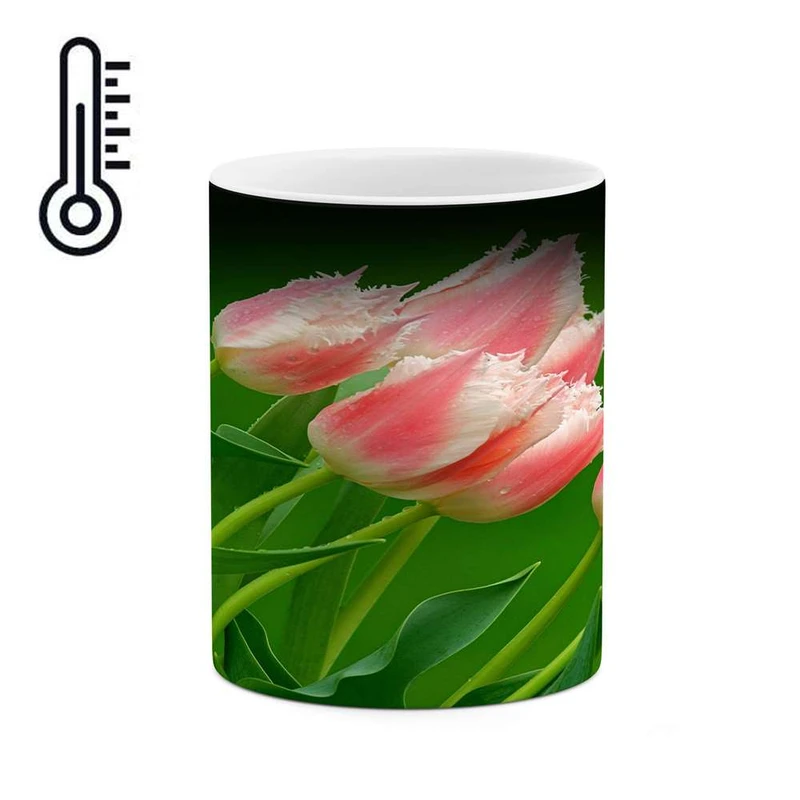 ماگ حرارتی کاکتی مدل گل کد mgh12114