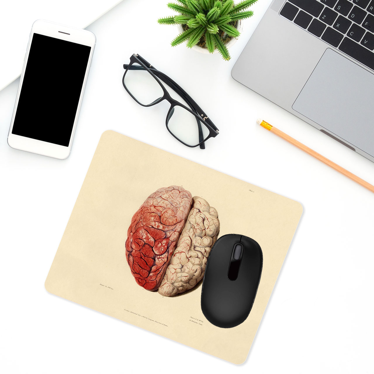 ماوس پد طرح آناتومی مدل MP3190
