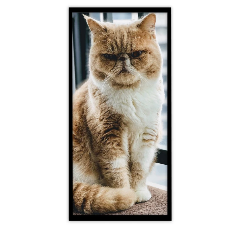 تابلو بکلیت طرح حیات وحش گربه خانگی مدل B-S3366