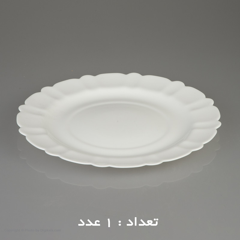 سرویس غذا خوری 25 پارچه آیروپال طرح کنگره مدل پیکو