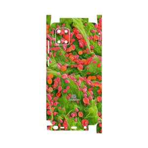 MAHOOT Atom Universe 3-FullSkin Cover Sticker for Samsung Galaxy Note 10 Lite