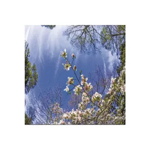 تایل سقفی آسمان مجازی مدل B26 سایز 60*60 سانتی متر