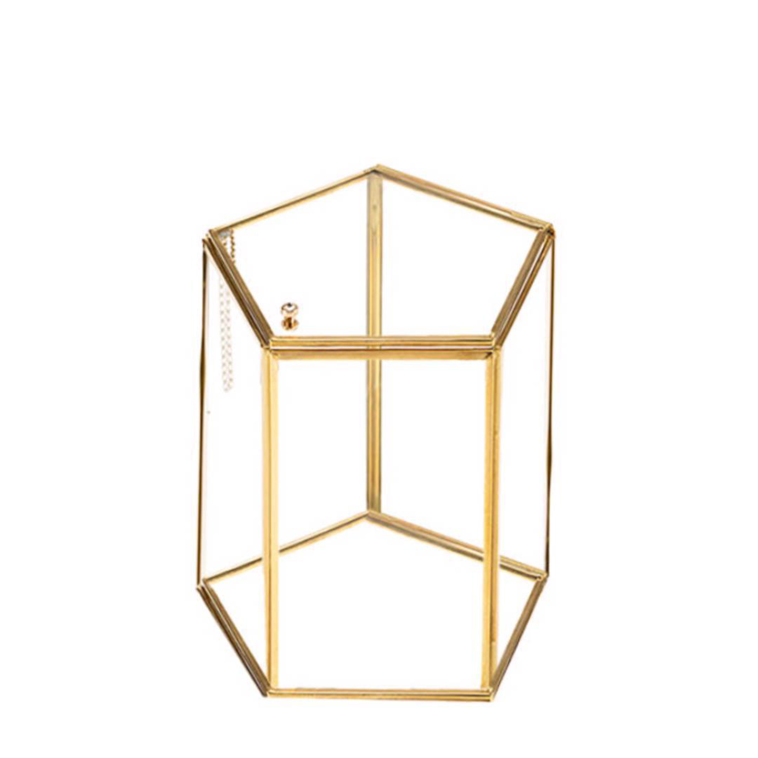 باکس نظم دهنده مدل اماتیس در دار