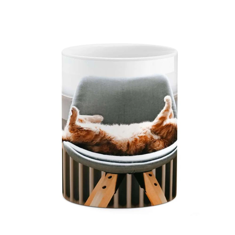 ماگ کاکتی مدل گربه کد mgh14116