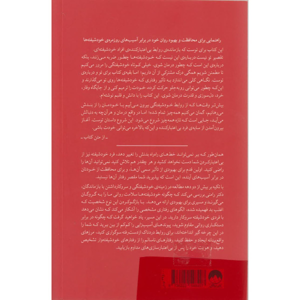 کتاب تقصیر تو نیست اثر رامنی دورواسلا ترجمه ناهید شیرزاد نشر میلکان