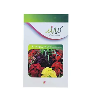 بذر گل حسن یوسف برگ درشت  F1 کیا بذر کد 002