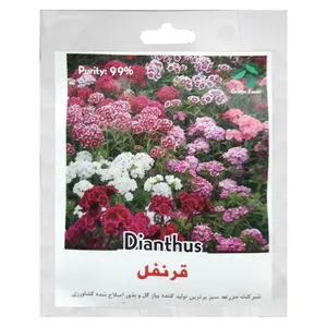 بذر گل قرنفل گرین فارم کد G 12