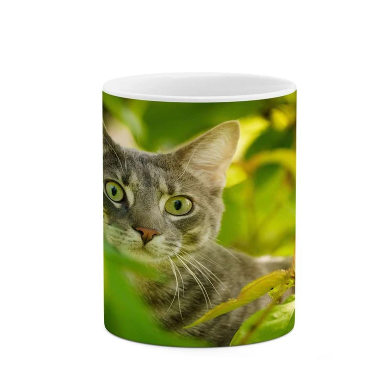 ماگ کاکتی مدل گربه کد mgh16746