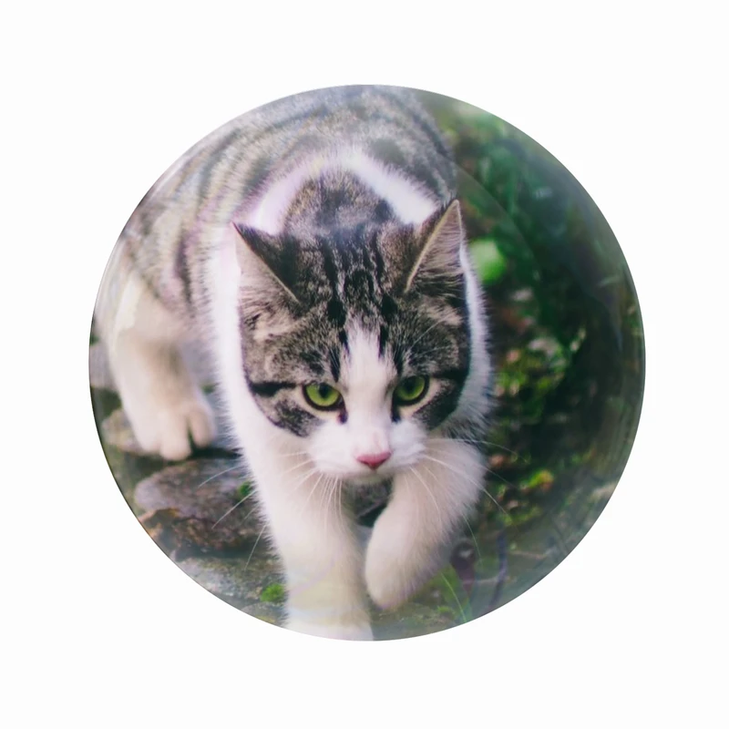 پیکسل عرش مدل فانتزی گربه کد Asp6079