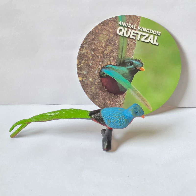 فیگور ناب سل مدل کتزال کد QUETZAL NAAB015 ارتفاع 4 سانتی متر