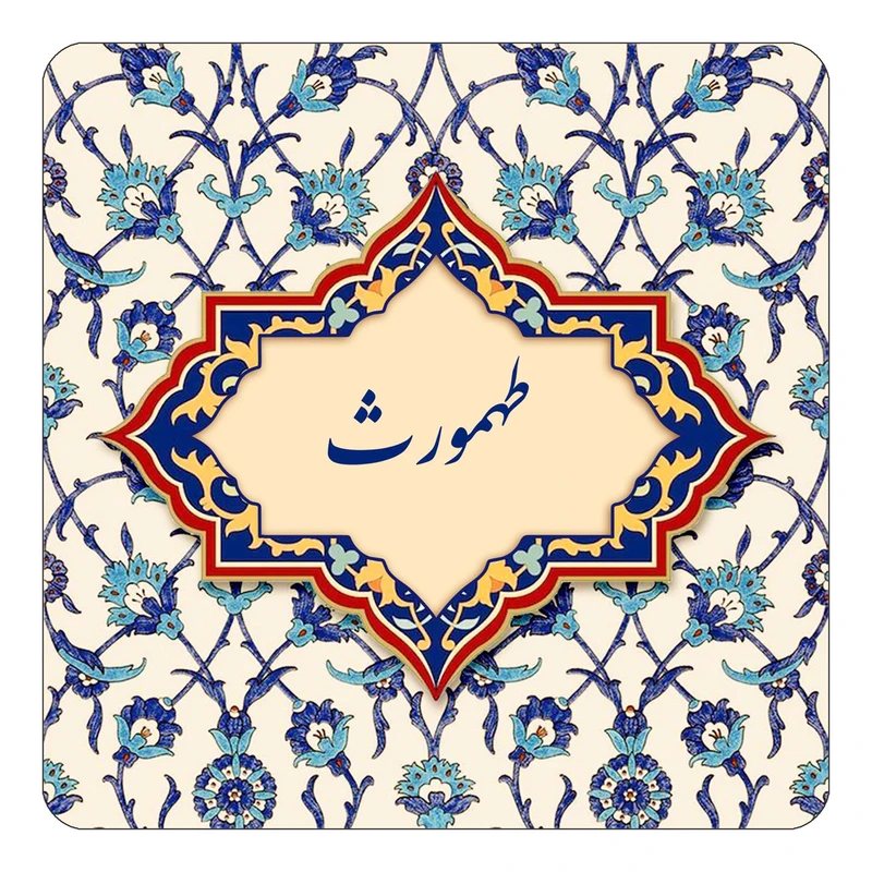 مگنت کاکتی طرح اسم طهمورث مدل اسلیمی کد mn85860