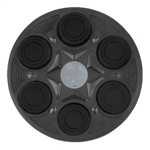 کیسه بوکس مدل Intelligent 