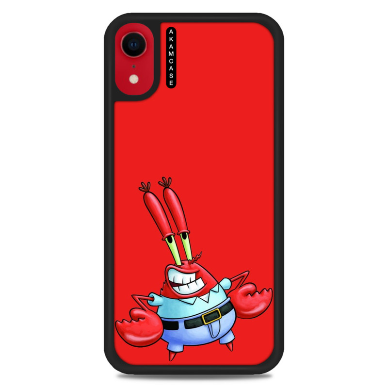 کاور آکام مدل AMC-WAXR-SPONGE BOB15 مناسب برای گوشی موبایل اپل iPhone XR