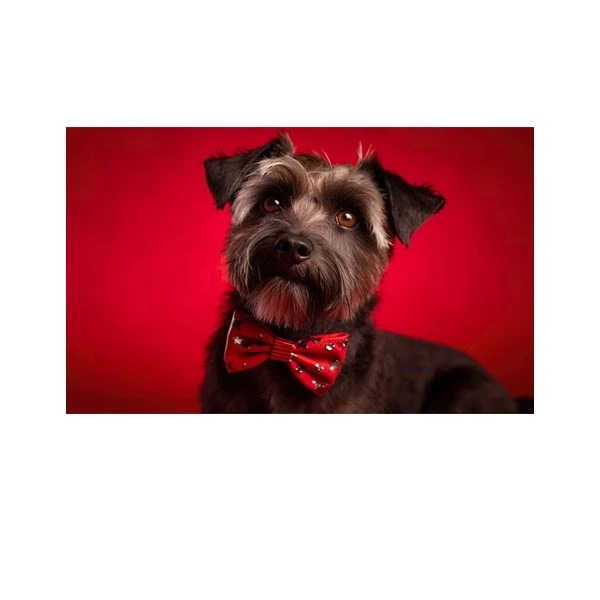    پادری طرح حیوانات کد M35M001-MA0060 سایز 76x46 سانتی متر