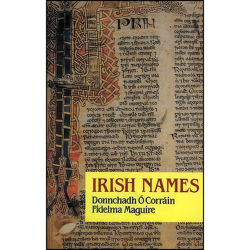 کتاب Irish Names اثر Donnchadh o Corrain انتشارات The Lilliput Press
