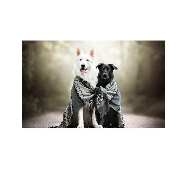   پادری مدل حیوانات کد HSHMA0104 سایز 76x46 سانتی متر