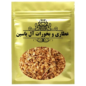 دمنوش بیر خشت - 1000 گرم