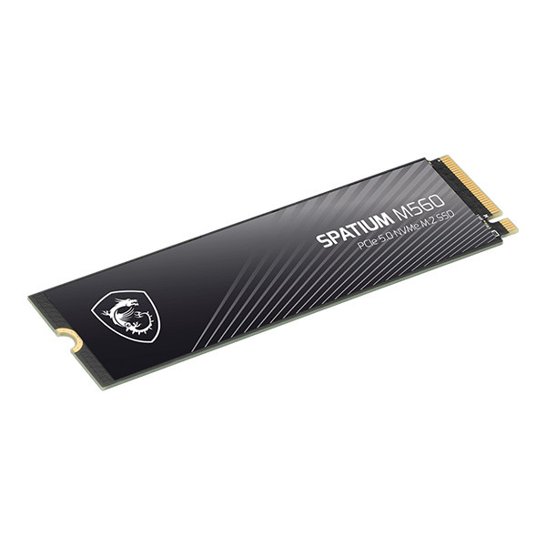 اس اس دی اینترنال PCIe 5.0 ام اس آی مدل  MSI SPATIUM M560  ظرفیت یک ترابایت