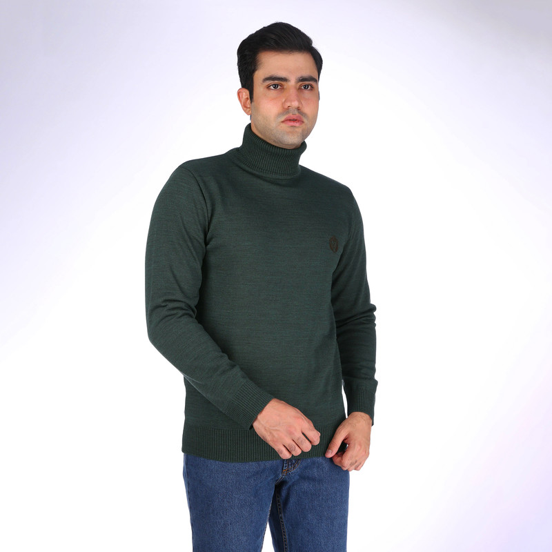 پلیور یقه اسکی مردانه تریکو پاییزان مدل PE700 رنگ یشمی