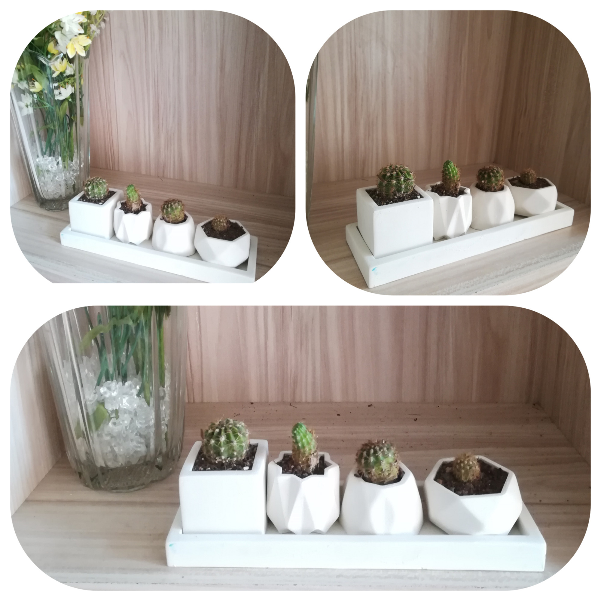 گلدان مدل مینیاتوری مجموعه 4 عددی