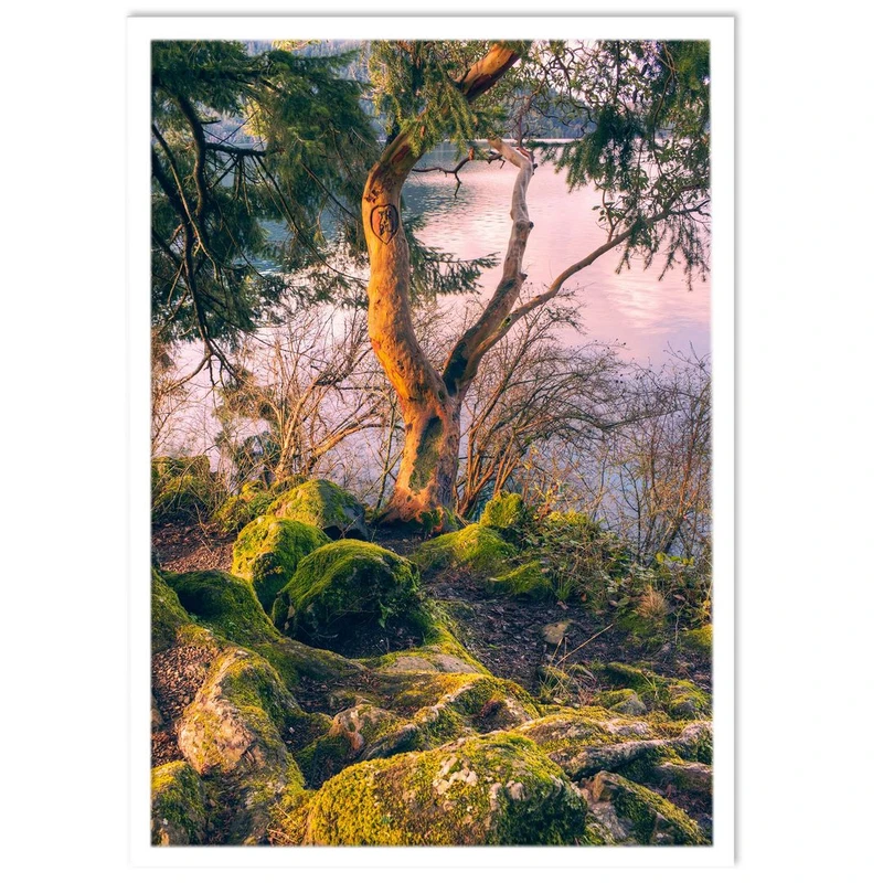 تابلو نوری بکلیت طرح طبیعت جنگل مدل W-14610