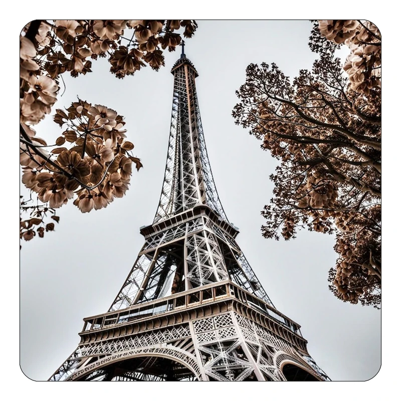 مگنت کاکتی طرح پاریس Paris مدل mp57275