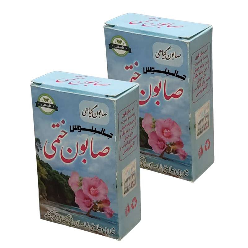 صابون شستشو جالینوس مدل گل ختمی وزن 70 گرم بسته 2 عددی