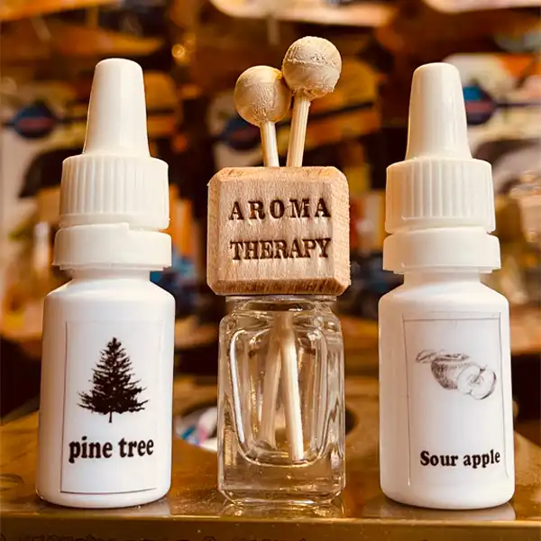 محفظه خوشبو کننده آروماتراپی مدل دریچه کولر کد PFES