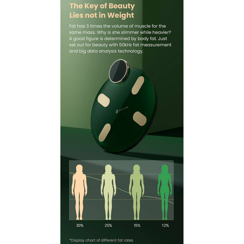 ترازو دیجیتال هایلو مدل CM01