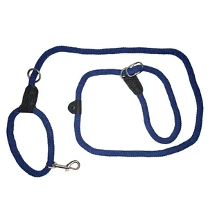 قلاده گردنی سگ مدل آموزشی کد 231