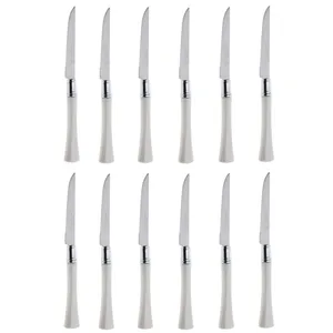 کارد میوه خوری دارلینگتون مدل BLUMEN بسته 12 عددی