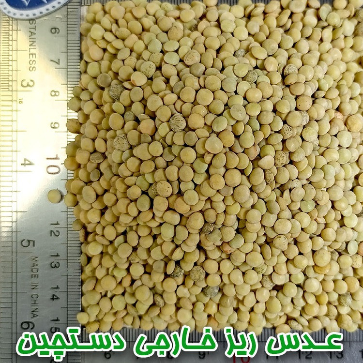 عدس ریز دلاوران - 700 گرم
