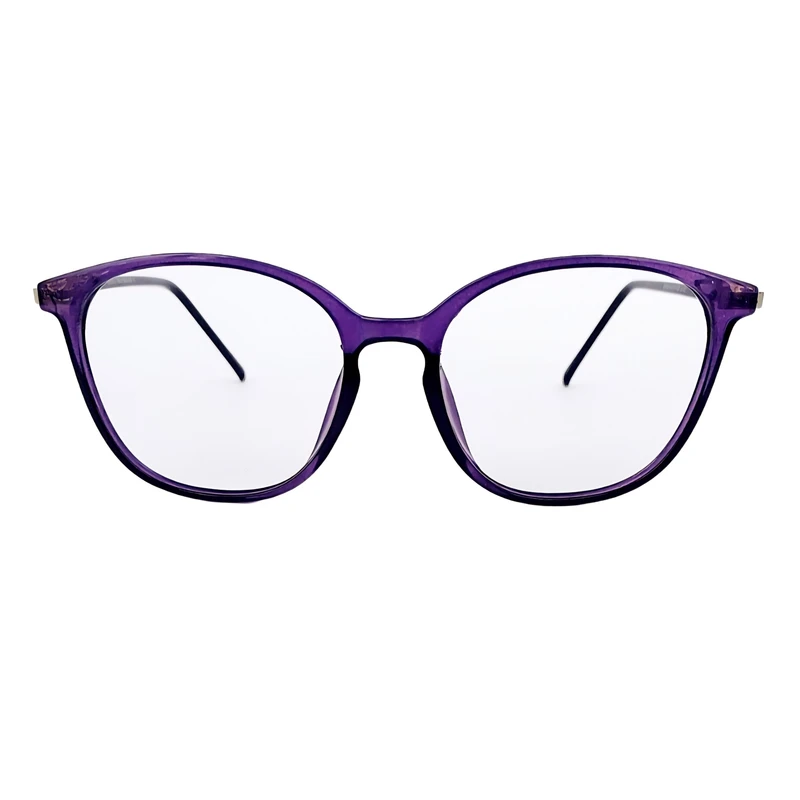 عینک محافظ چشم رایوال مدل بلوکنترل کدV8303